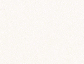 9101